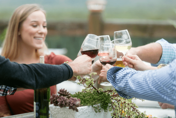 A group of people toasting with various drinks, including red wine, white wine, and beer. They are outdoors on an April evening on the blufftop, and one woman is clearly visible, smiling and holding her glass. A bottle of wine and a decorative planter with succulents are on the table.