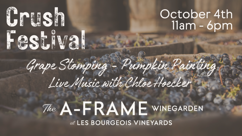 Background is grape barrels. Text states " Crush Festival October 4th 11am-6pm. Grape Stomping - Pumpkin painting, Live Music with Chloe Hoecker. The A-Frame Winegarden at Les Bourgeois Vineyards