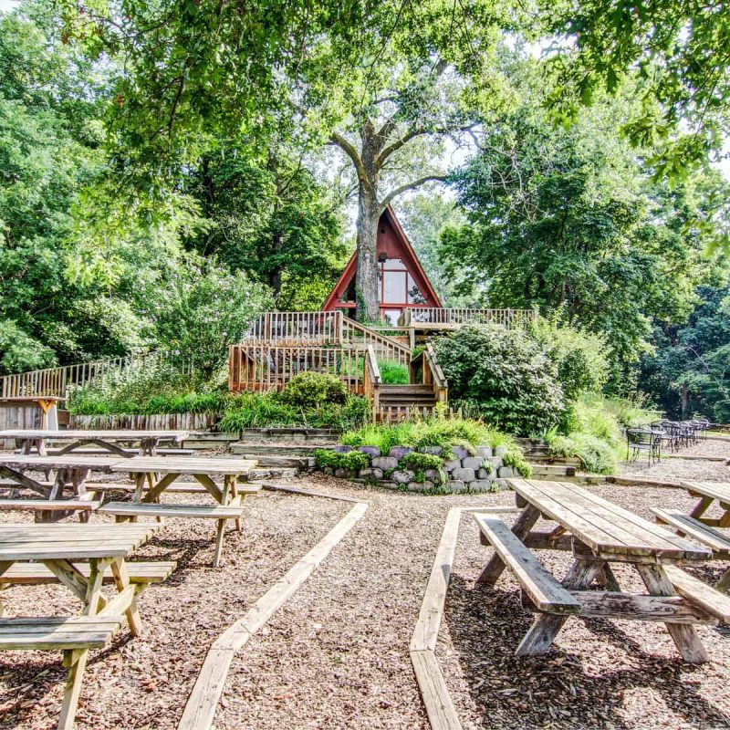 A serene outdoor area with multiple wooden picnic tables set on a dirt and woodchip ground. In the background, there is a quaint A-frame cabin surrounded by lush green trees and foliage. Terraced wooden steps lead up to the cabin, creating a tranquil setting.