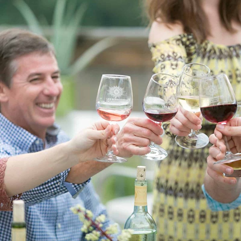 A group of people toasting with glasses of red and white wine. A smiling man in a blue checkered shirt is in the foreground, and other hands holding wine glasses are visible. The setting appears to be outdoors with a blurred natural background.