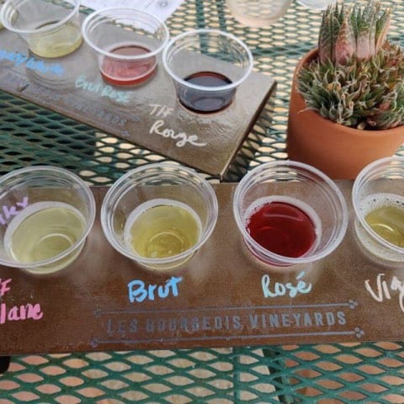 Two wine tasting flights are placed on a green metal table. Each flight consists of four plastic cups filled with different wines, labeled as T/F Blanc, Brut, Rose, and Vaquero. A succulent plant and a paper menu are also visible on the table.