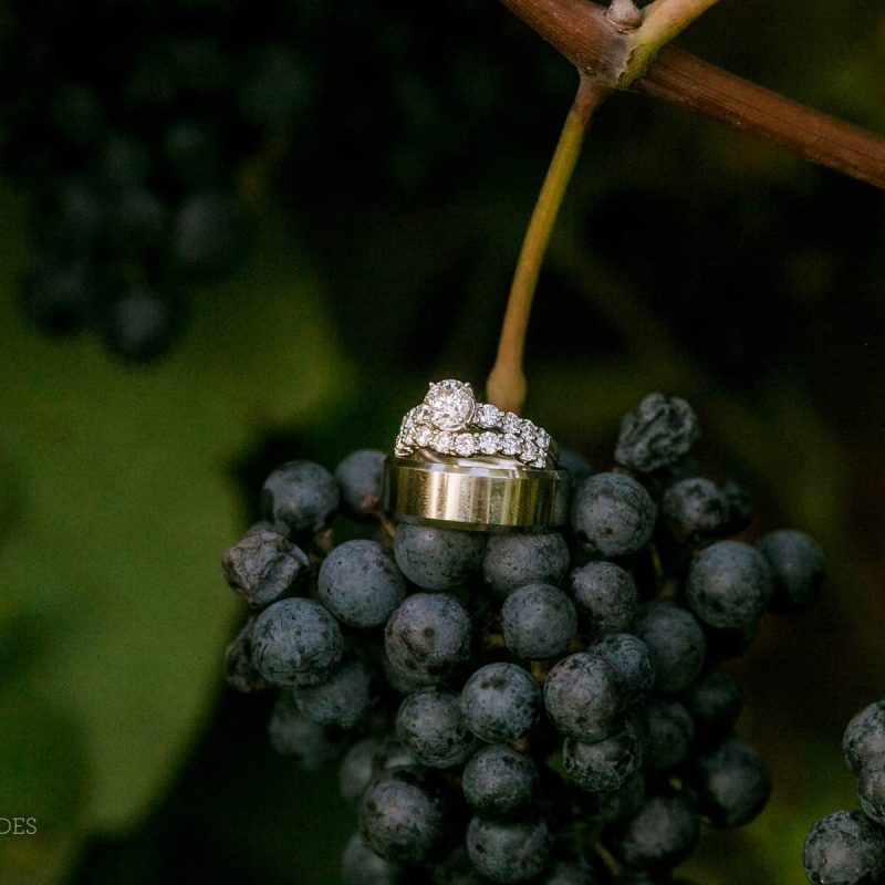 Two wedding bands resting on grapes